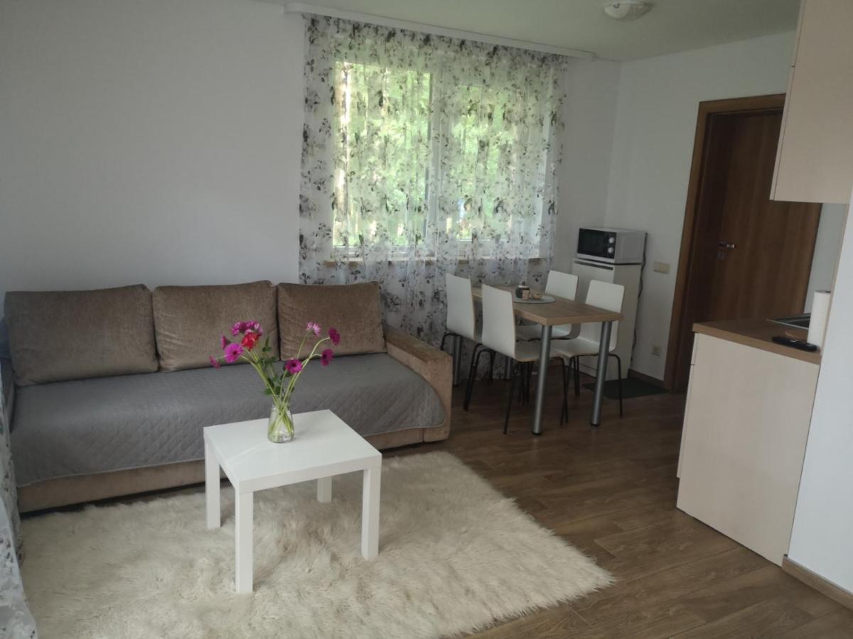 Kristinos Apartment Druskininkai Exterior photo